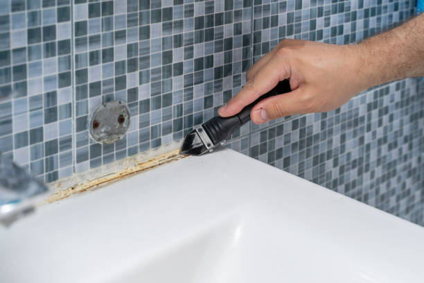 Best Industrial Mold Remediation in Rodney Village, DE